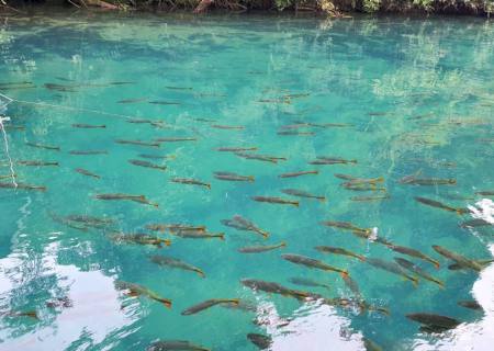 Polícia Militar Ambiental de Bonito autua atrativo turístico em R$ 180 mil